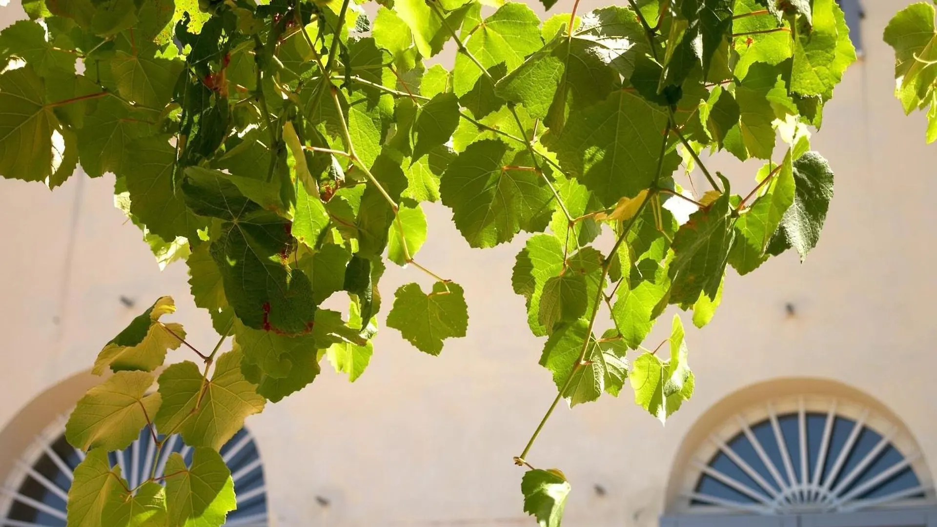 Alloggio per agriturismo Podere Riparbella Massa Marittima