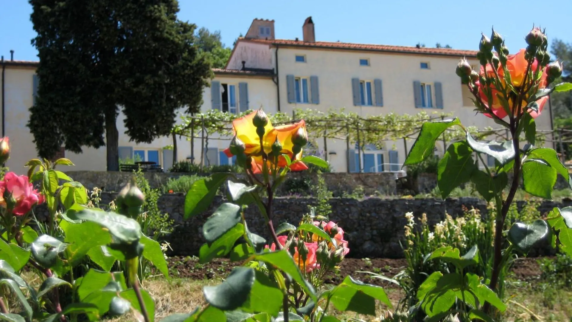 Podere Riparbella Massa Marittima